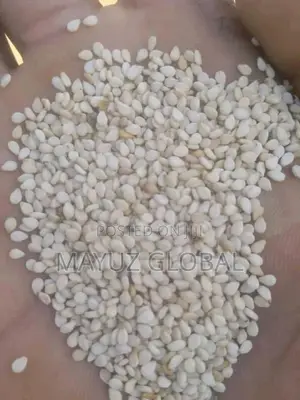 Sesame Seeds