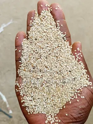 Sesame Seeds
