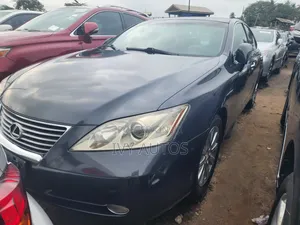 Lexus ES 350 2009 Gray
