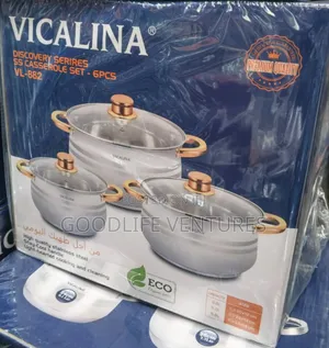 Stainless Steel Set of Pot