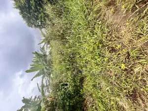 3 Unit of Room and Palor Sef Con Close to Winners Headquarters Ota