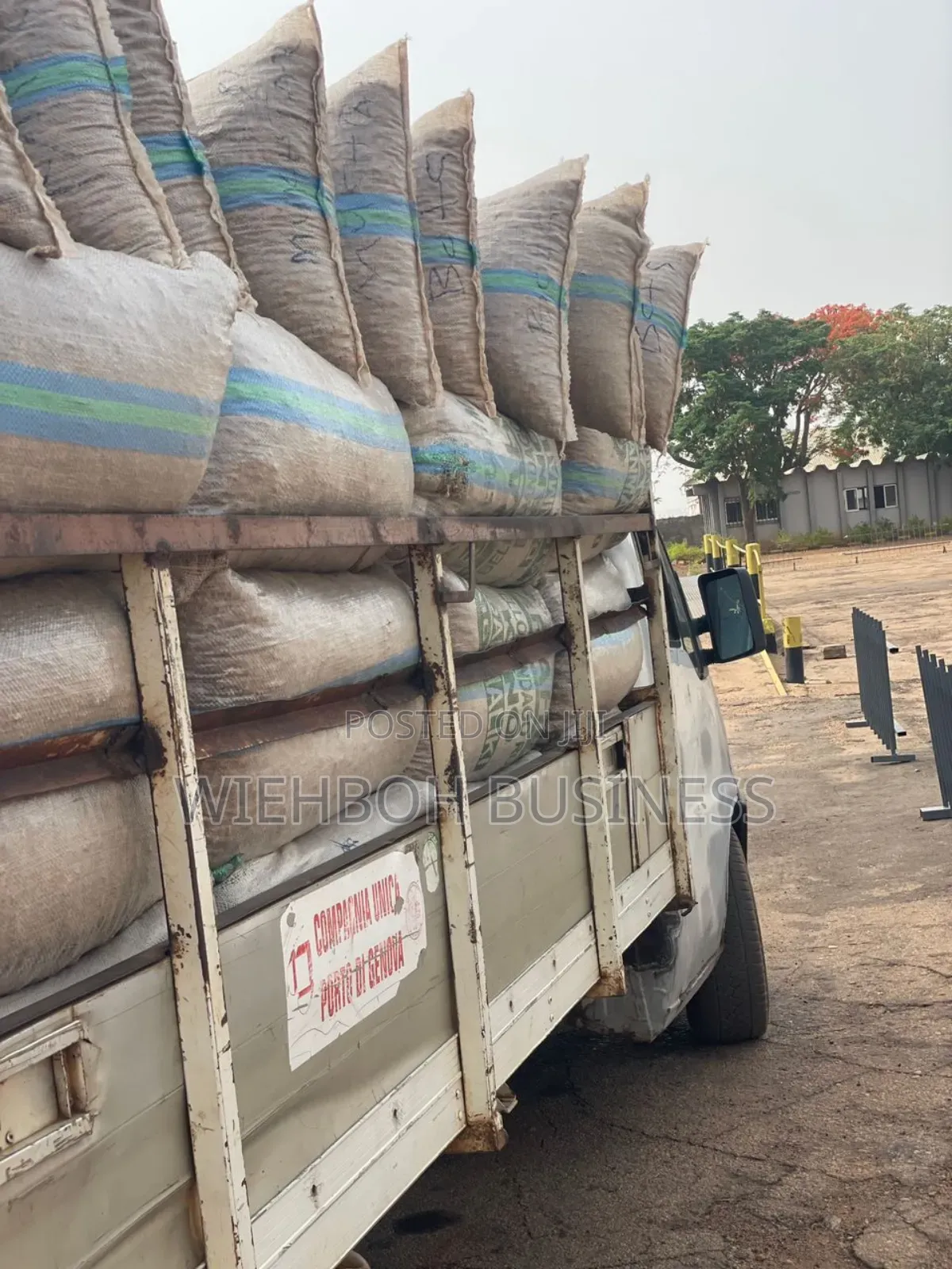Dry Tumeric