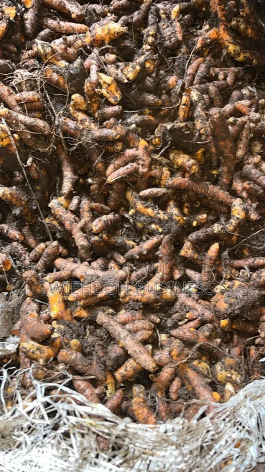 Dry Tumeric