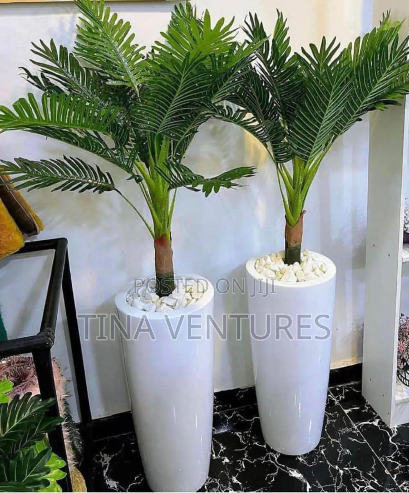 Flower and Pot