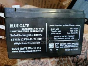 Blue Gate Ups Battery