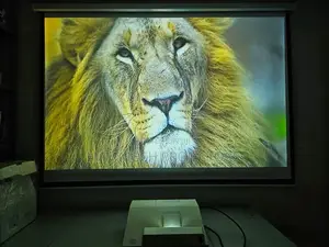 Ultra Short Throw Projectors