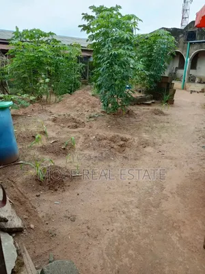 30ft by 120ft Half Plot Baptist Bustop Ijegemo New Expressway