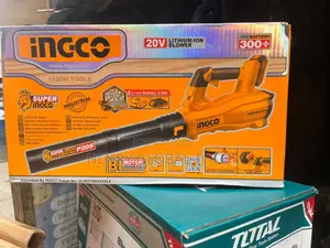 20v Ingco Heavy Duty Blower