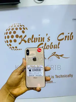 Apple iPhone XS Max 256 GB Silver