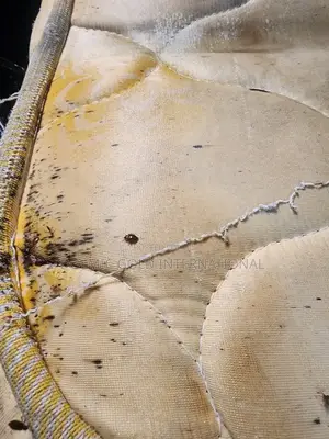 Fumigation For Bedbug Treatment