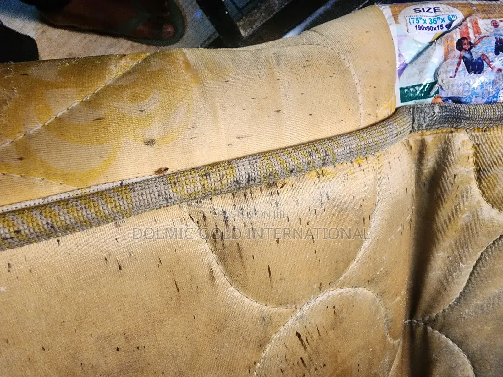 Bedbug Fumigation And Pest Control Services