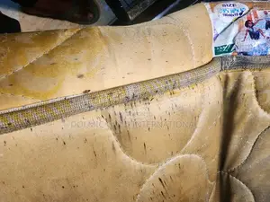 Bedbug Fumigation And Pest Control Services