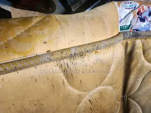 Bedbug Fumigation and Pest Control Services
