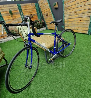 Professional Sports Bicycle
