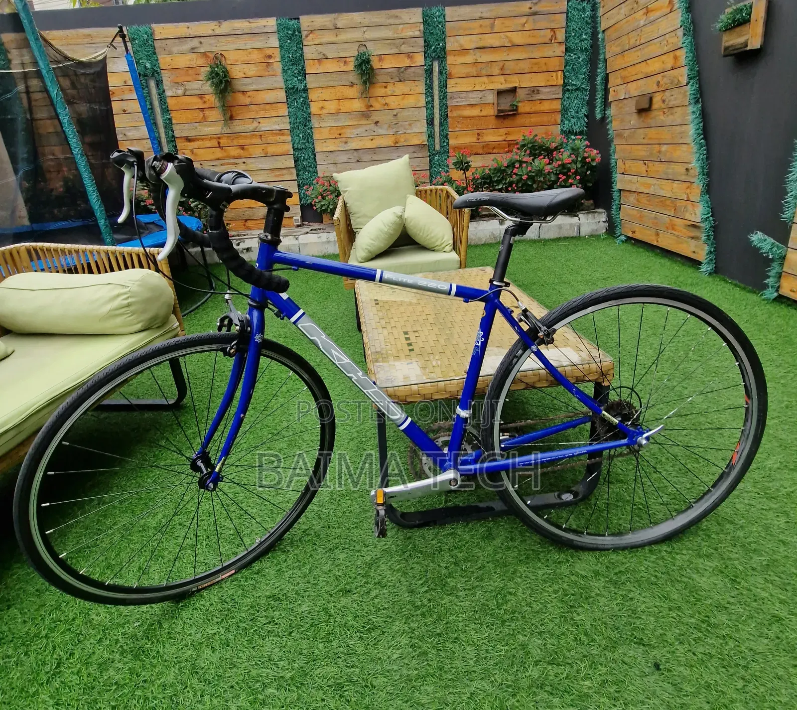 Professional Sports Bicycle