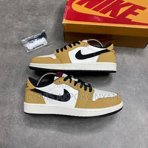 Nike Dunk Low Sneakers