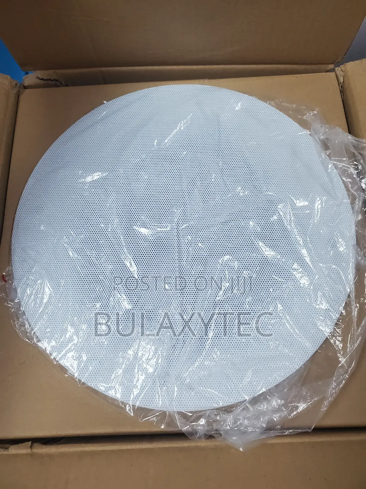 Ceiling Speaker Smart Home