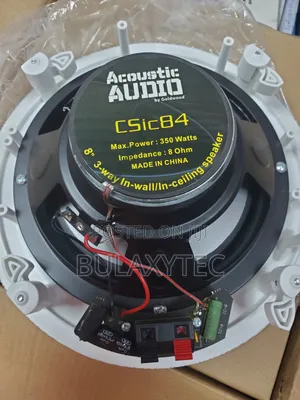 Ceiling Speaker Smart Home