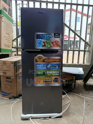 Royal Double Door Fridge Frost Free 250 Litres 1 Yr Warranty