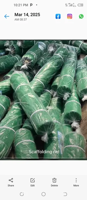 Scaffolding Net