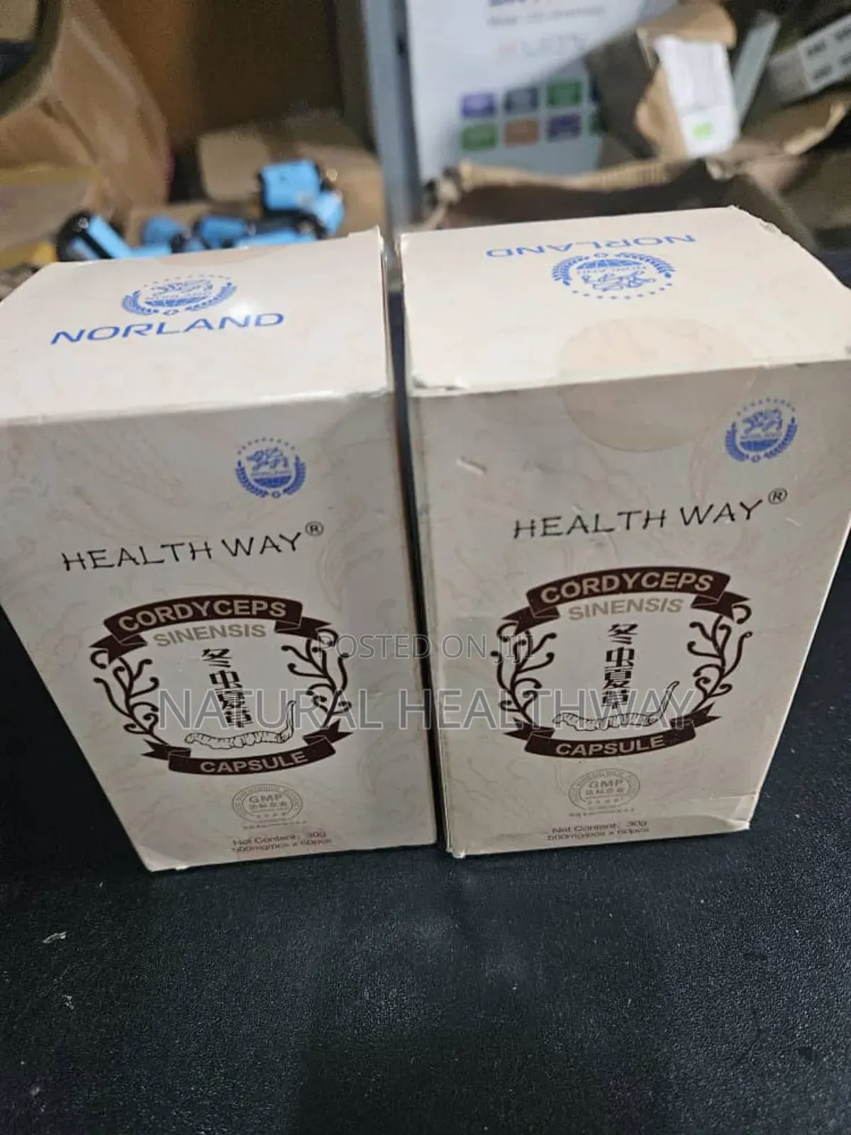 Cordyceps Sinensis Capsules