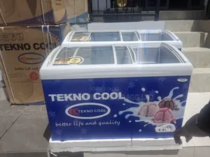 Ice Cream Chiller - 300 Litres ( Tekno Cool)
