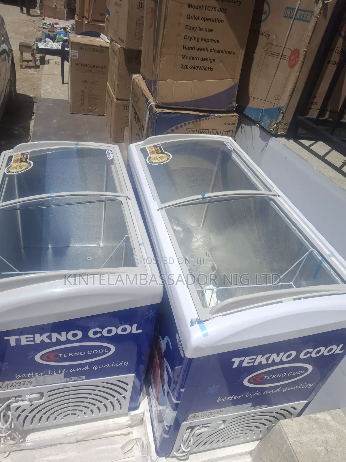 Ice Cream Chiller - 300 Litres ( Tekno Cool)