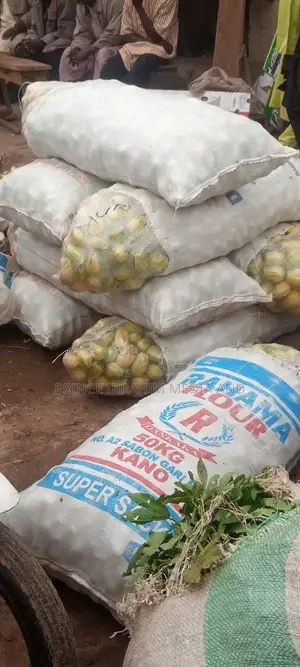 Fresh Garden Egg