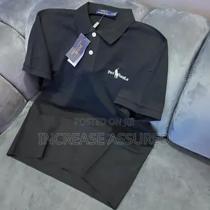 Luxury Polo Raph Lauren Tshirt