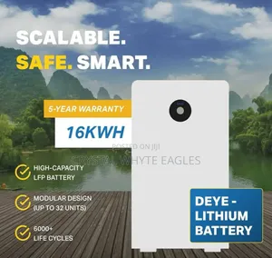 D Eye 16kwh Lithium Iron Phosphate Battery