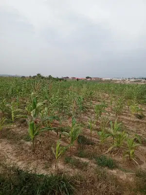 Invest in Harmony Villa, Kurudu