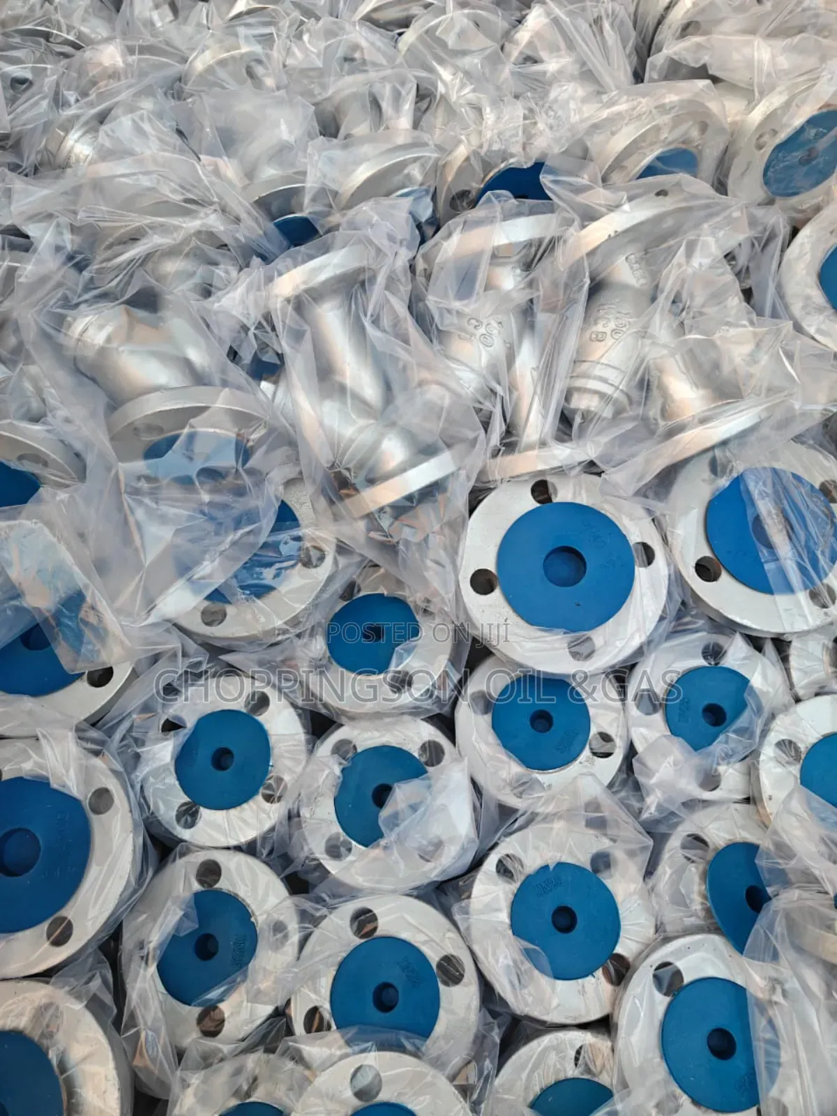 2" Flange Strainer