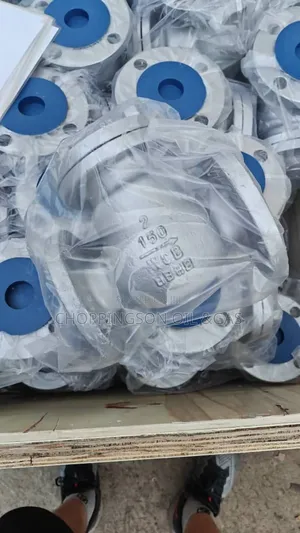 2" Flange Non-Return Valve