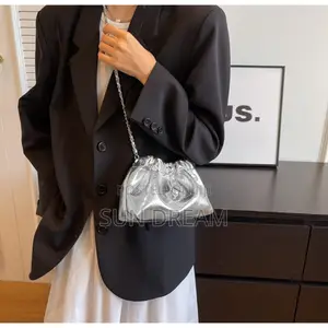 Silver Bag Lady Handbag Lady Bags