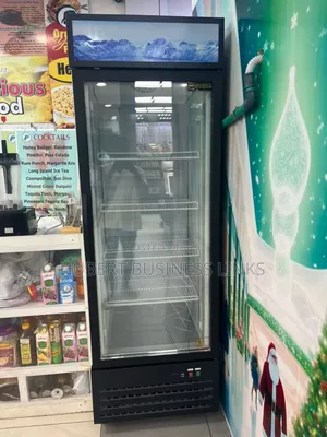 Single Door Industrial Fridge/Chiller