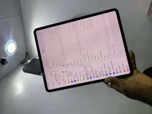 Apple iPad Pro 13 (2024) 256 GB Gray
