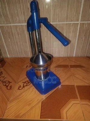 Fruit Juicer