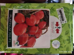 Platinum Tomato Seed