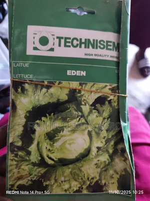 Vegetable Seeds