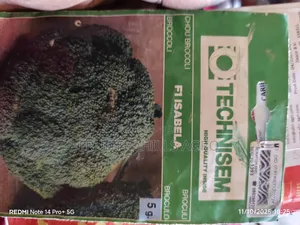 Vegetable Seeds