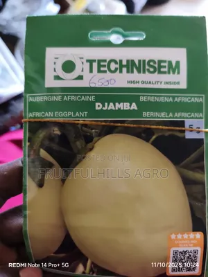 Vegetable Seeds