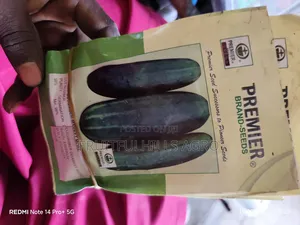 Vegetable Seeds