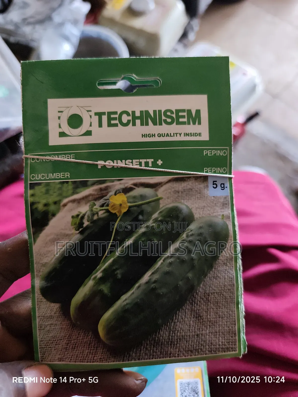 Vegetable Seeds
