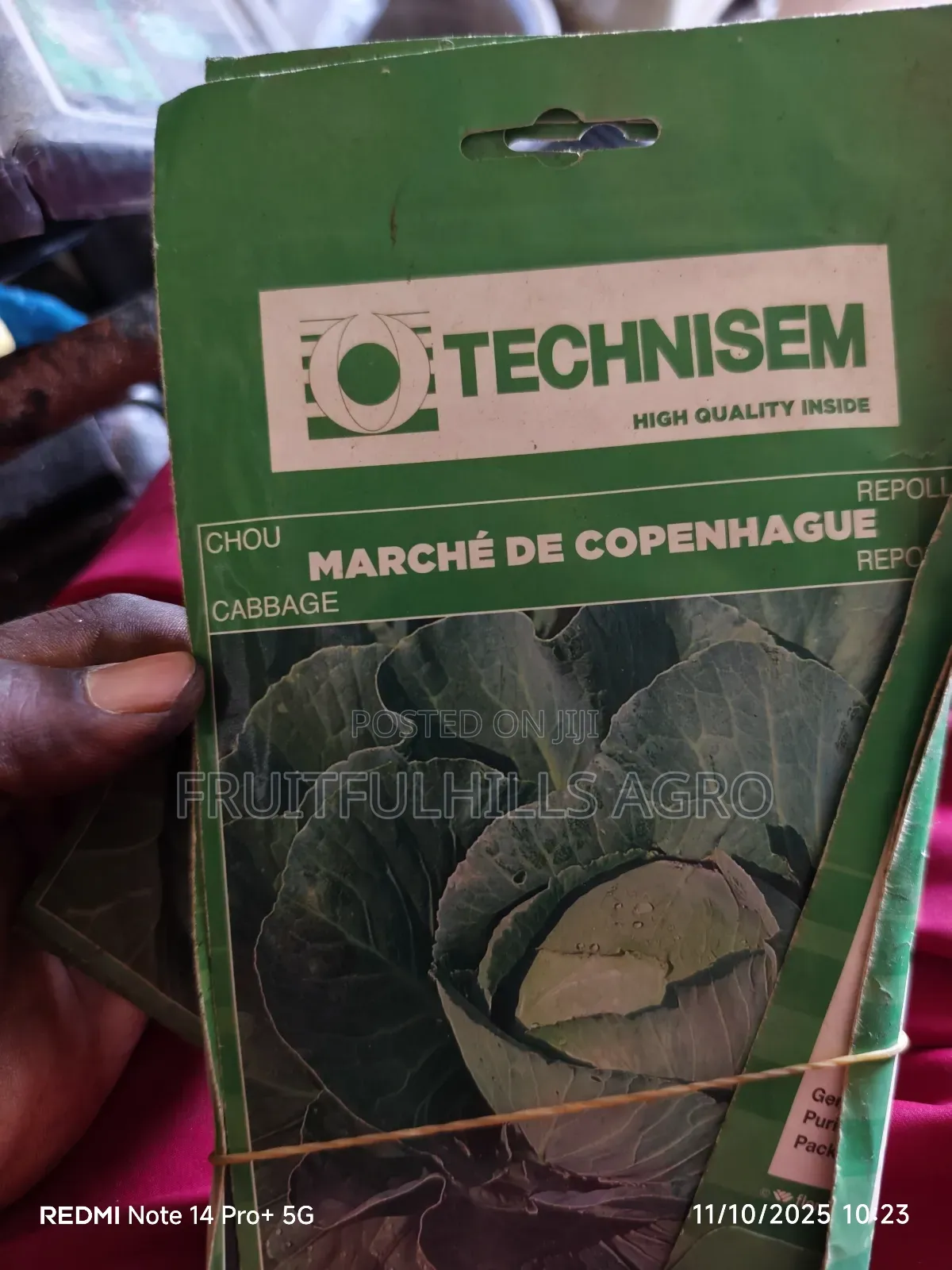 Vegetable Seeds
