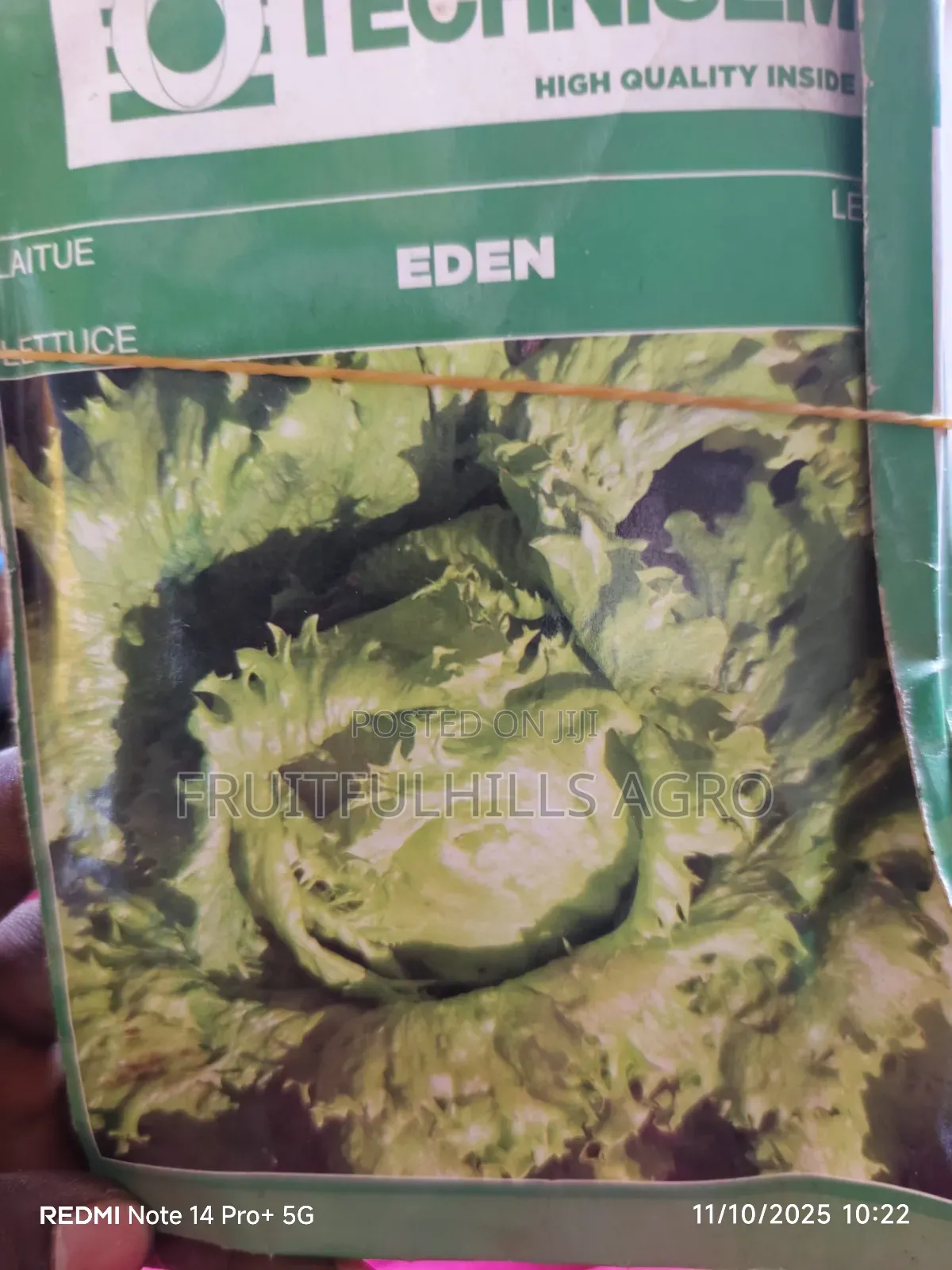 Vegetable Seeds