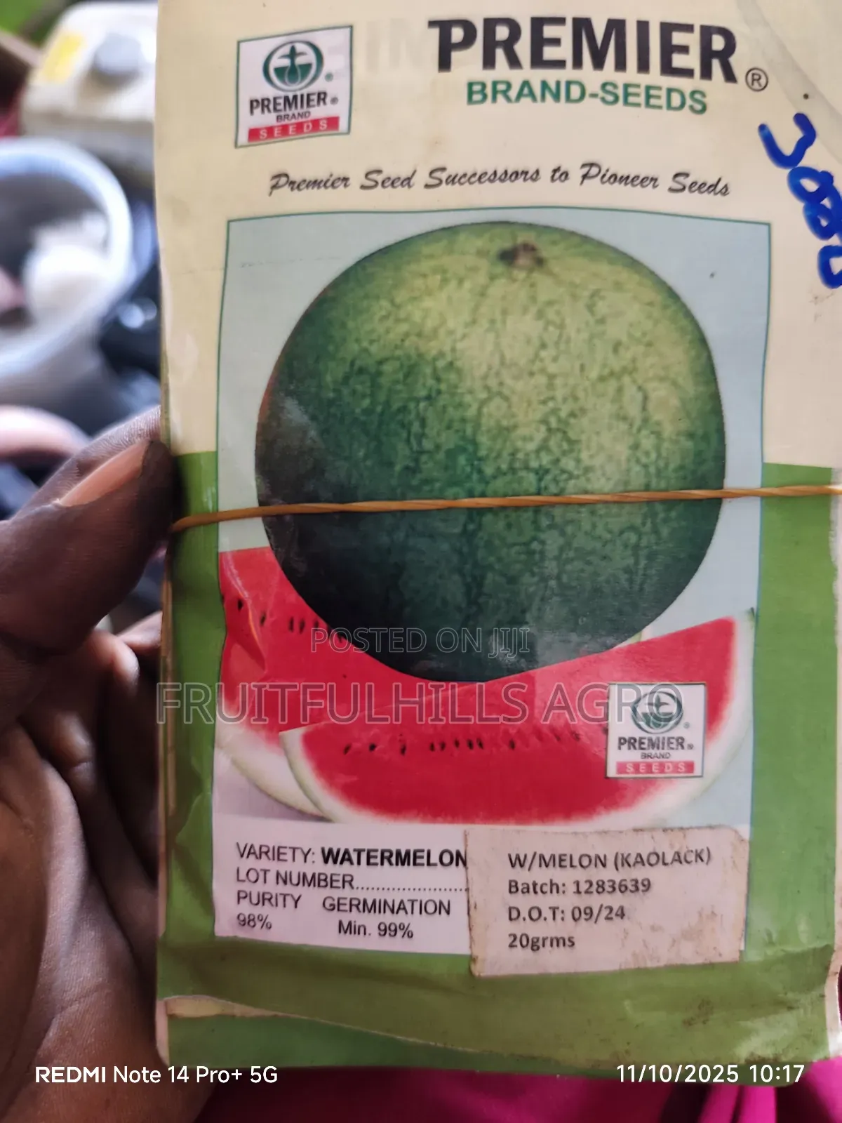 Vegetable Seeds