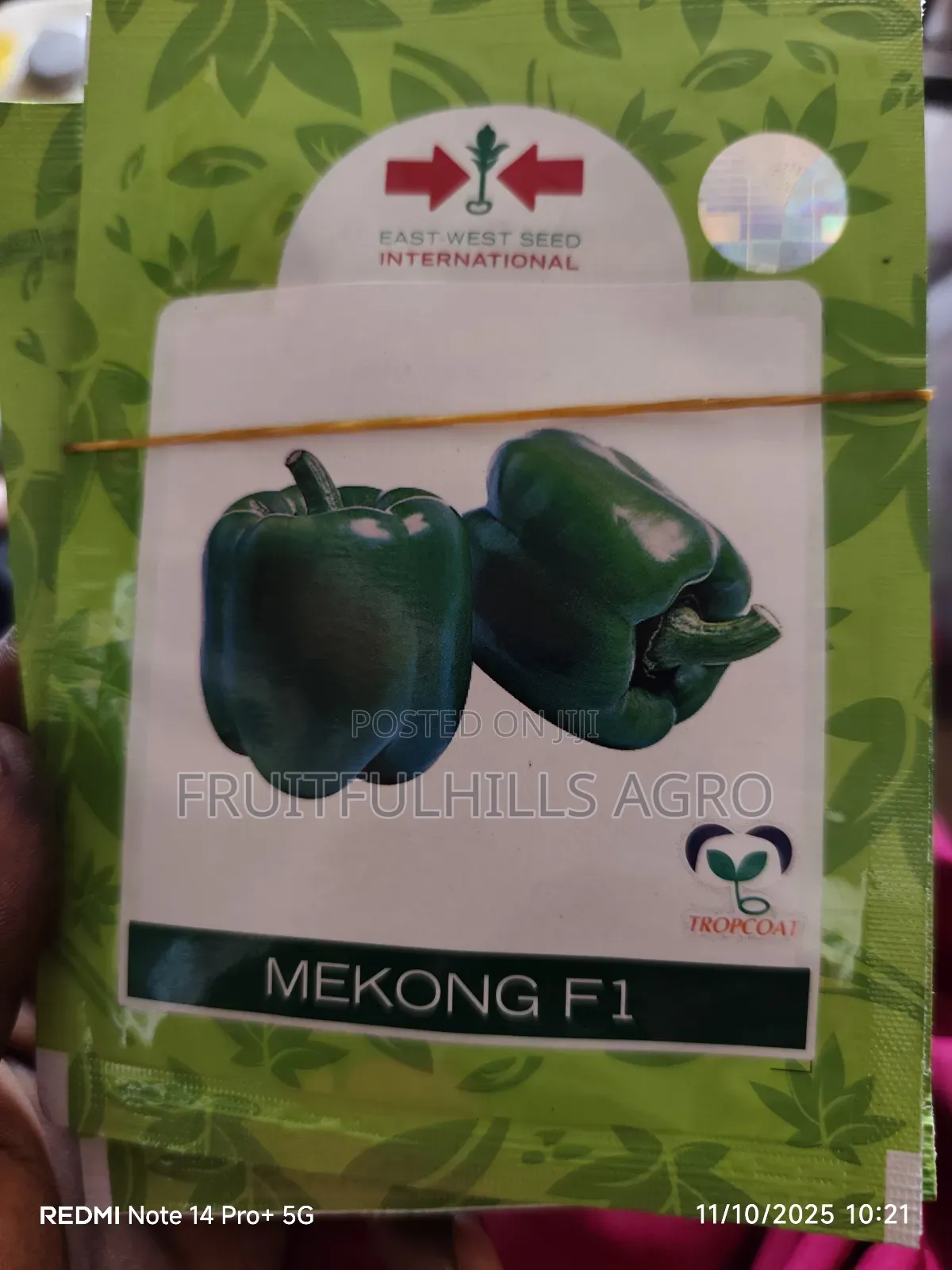 Vegetable Seeds