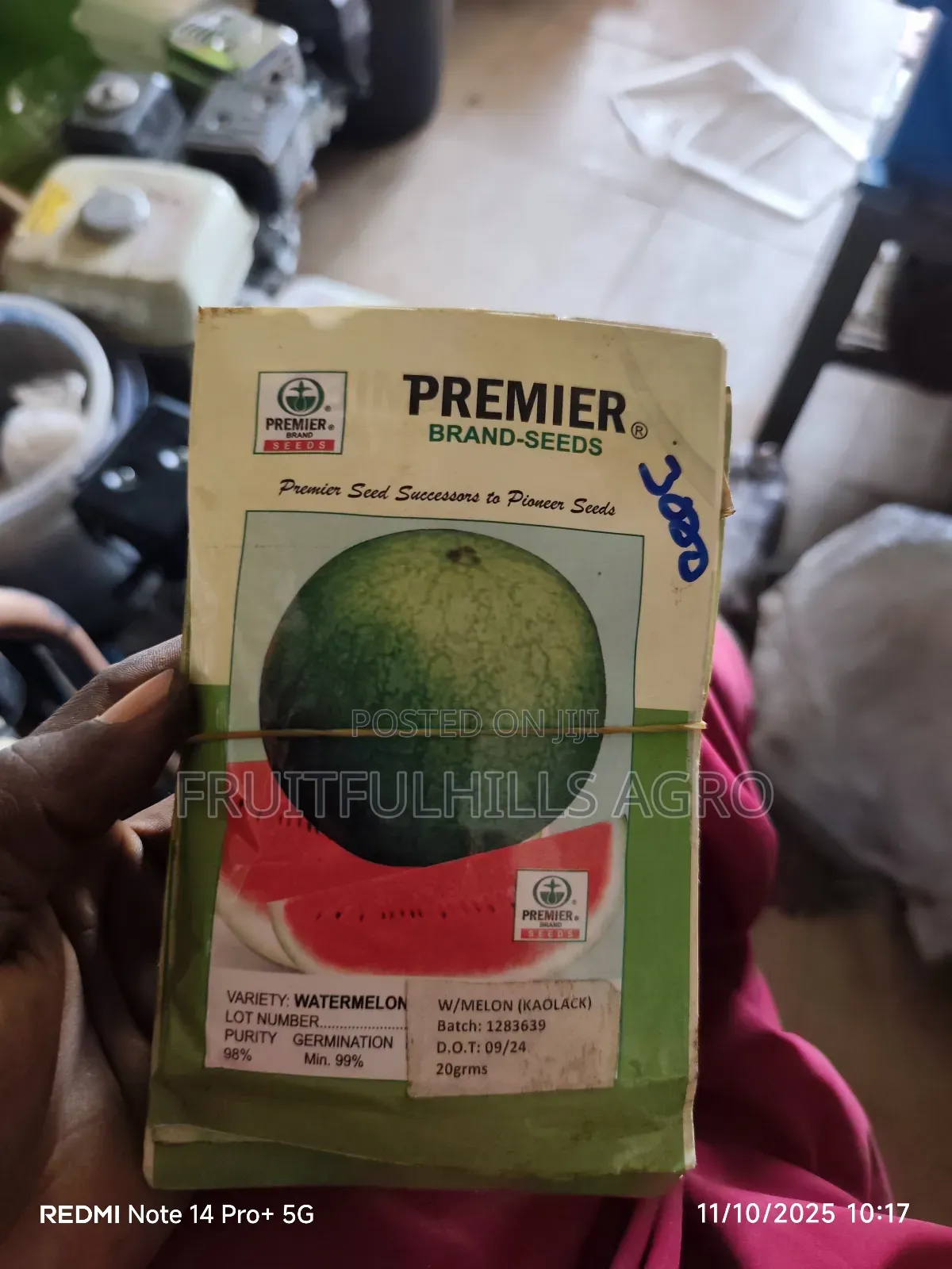 Vegetable Seeds