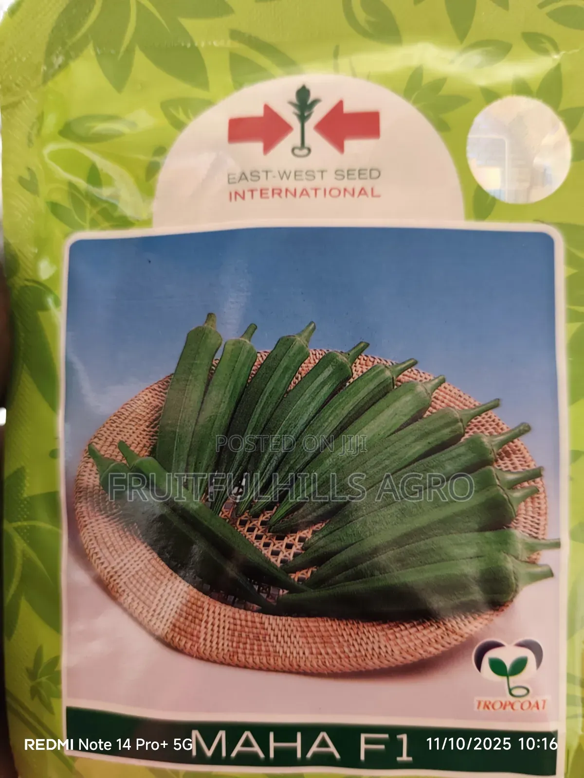 Vegetable Seeds
