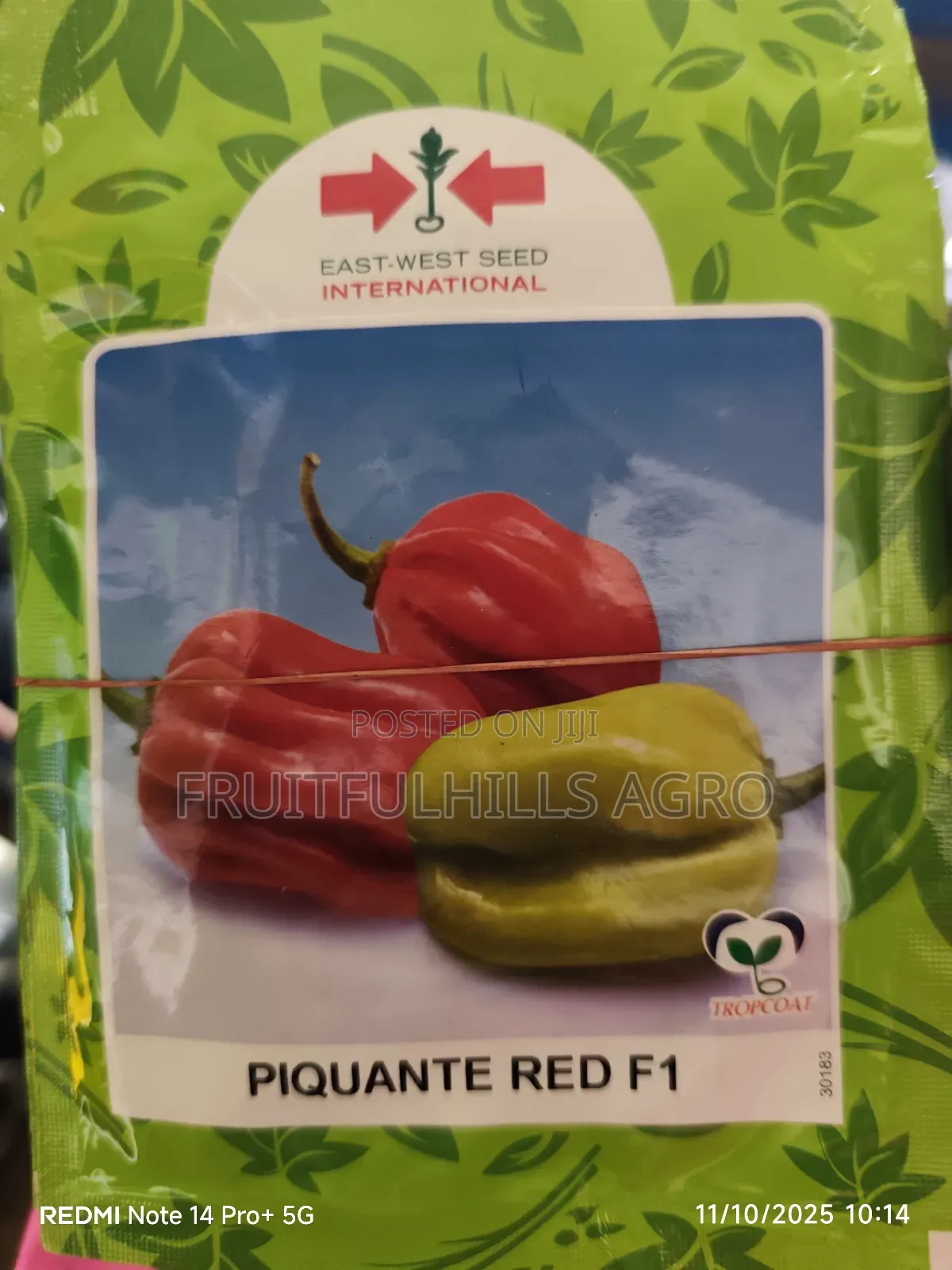 Vegetable Seeds